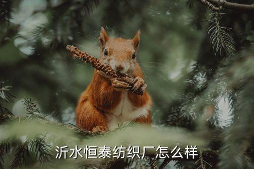 沂水恒泰紡織廠(chǎng)怎么樣