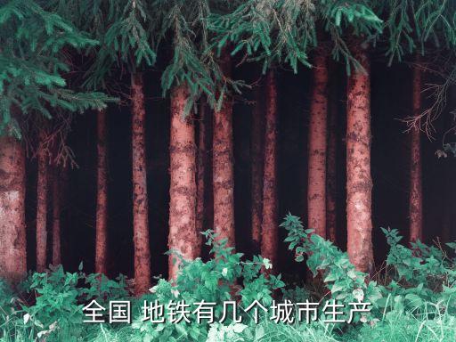 全國 地鐵有幾個城市生產(chǎn)