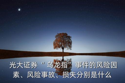  光大證券“ 烏龍指”事件的風(fēng)險(xiǎn)因素、風(fēng)險(xiǎn)事故、損失分別是什么