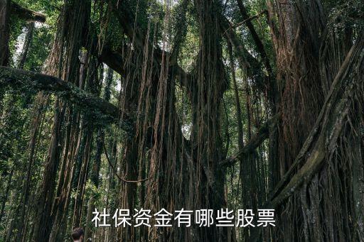 全國社?；鸾M合