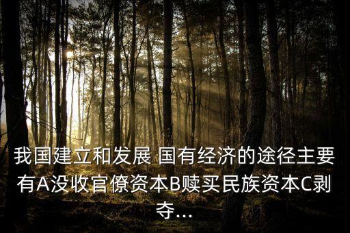 中國國有資產總量,國有資產總量是什么意思