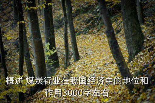 概述 煤炭行業(yè)在我國經(jīng)濟(jì)中的地位和作用3000字左右