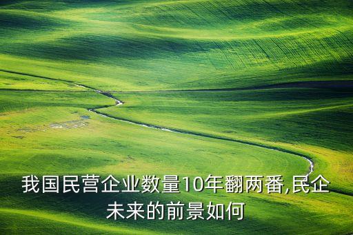 中國(guó)民間資本有多少,2020年中國(guó)有多少民間資本
