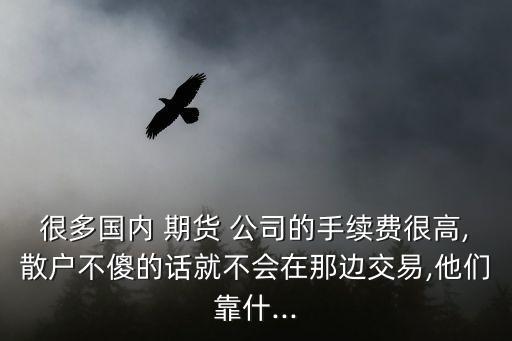 很多國內(nèi) 期貨 公司的手續(xù)費(fèi)很高,散戶不傻的話就不會在那邊交易,他們靠什...