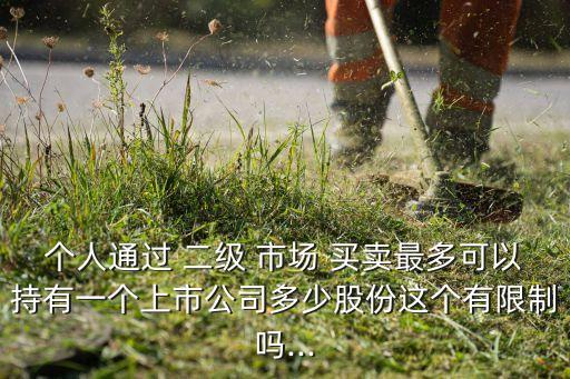 個(gè)人通過 二級 市場 買賣最多可以持有一個(gè)上市公司多少股份這個(gè)有限制嗎...