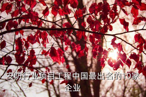安防行業(yè)項目工程中國最出名的10家企業(yè)