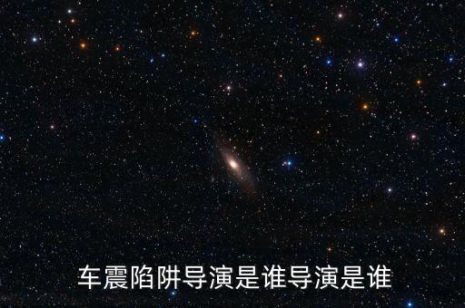 中國(guó)車(chē)震第一案