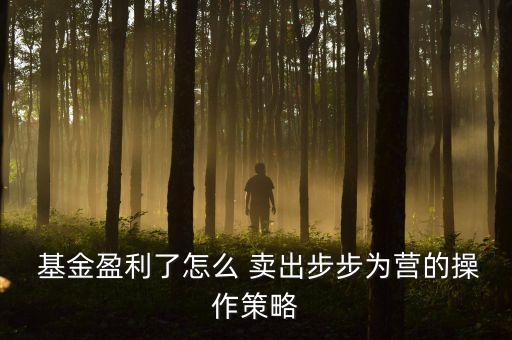  基金盈利了怎么 賣出步步為營的操作策略