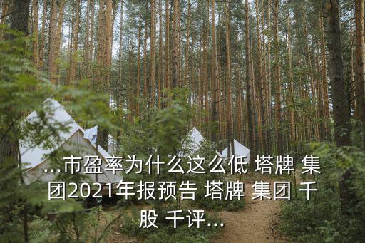塔牌集團千股千評