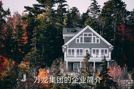  萬龍集團(tuán)的企業(yè)簡介