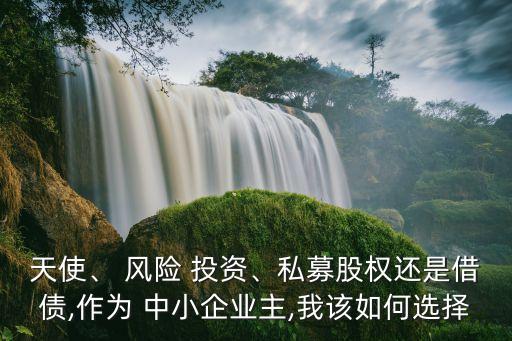 天使、 風(fēng)險 投資、私募股權(quán)還是借債,作為 中小企業(yè)主,我該如何選擇
