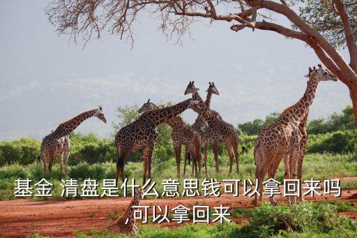 基金 清盤(pán)是什么意思錢(qián)可以拿回來(lái)嗎,可以拿回來(lái)