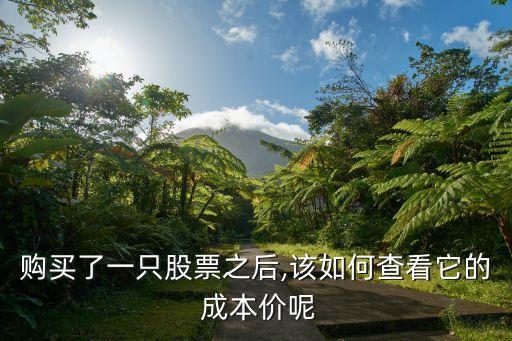 購(gòu)買了一只股票之后,該如何查看它的 成本價(jià)呢