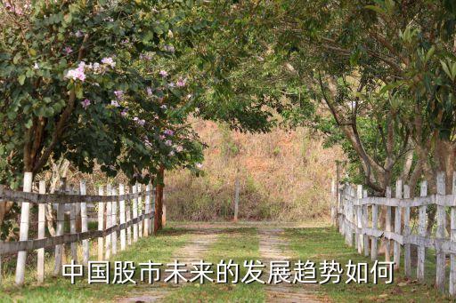中國(guó)股市未來(lái)的發(fā)展趨勢(shì)如何