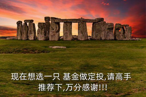 現(xiàn)在想選一只 基金做定投,請(qǐng)高手 推薦下,萬(wàn)分感謝!!!