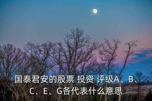 國泰君安的股票 投資 評(píng)級(jí)A、B、C、E、G各代表什么意思