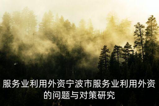 國內城市外商直接投資