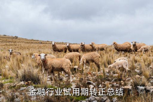 金融行業(yè)試用期轉正總結
