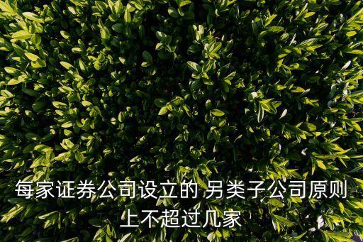 每家證券公司設立的 另類子公司原則上不超過幾家
