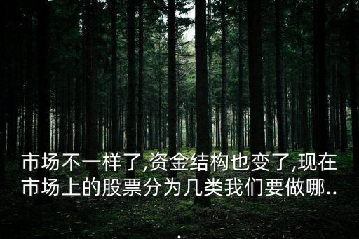 市場(chǎng)不一樣了,資金結(jié)構(gòu)也變了,現(xiàn)在市場(chǎng)上的股票分為幾類我們要做哪...