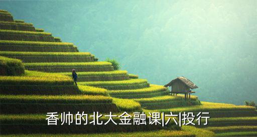 中國(guó)進(jìn)入高盛的畢業(yè)生,高盛為什么沒有進(jìn)入中國(guó)