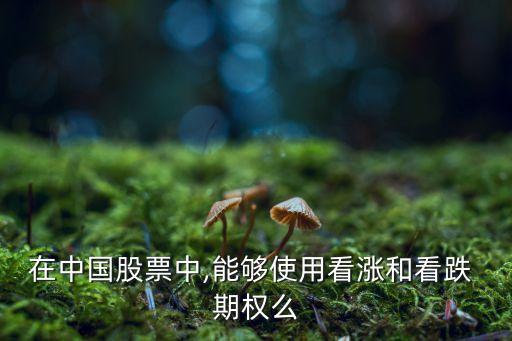 中國有個股期權(quán)嗎,個股期權(quán)有哪些股票