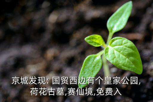 京城發(fā)現(xiàn): 國(guó)貿(mào)西邊有個(gè)皇家公園,荷花古墓,賽仙境,免費(fèi)入