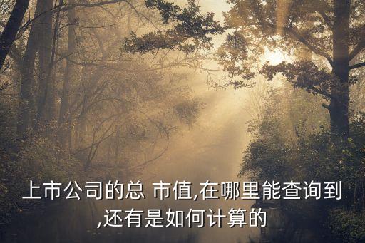 上市公司的總 市值,在哪里能查詢(xún)到,還有是如何計(jì)算的