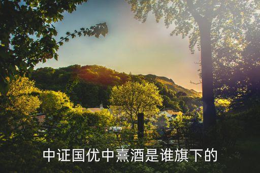 中證國(guó)優(yōu)中熹酒是誰(shuí)旗下的