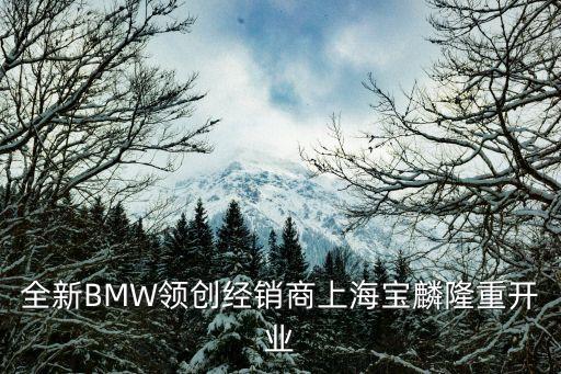 全新BMW領創(chuàng)經銷商上海寶麟隆重開業(yè)