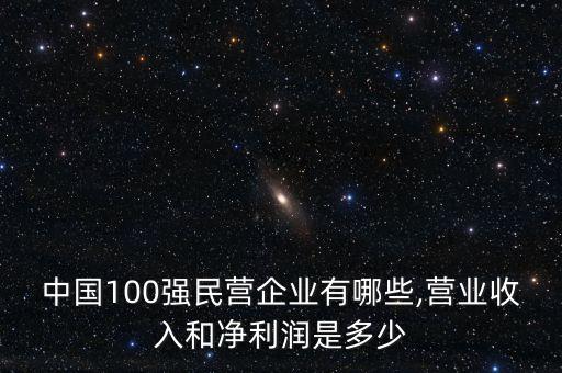 中國100強民營企業(yè)有哪些,營業(yè)收入和凈利潤是多少