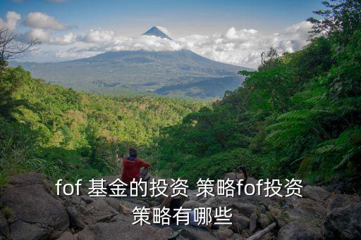 基金組合策略,基金售后維護(hù)策略