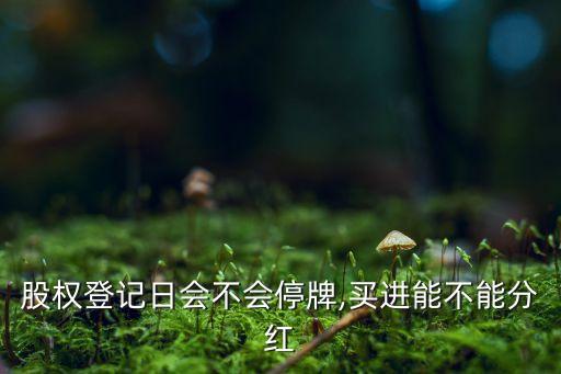 股權(quán)登記日會(huì)不會(huì)停牌,買(mǎi)進(jìn)能不能分紅
