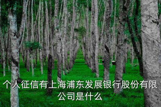 個人征信有上海浦東發(fā)展銀行股份有限公司是什么