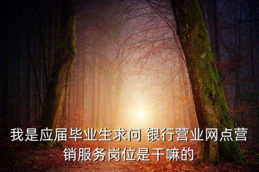 我是應(yīng)屆畢業(yè)生求問(wèn) 銀行營(yíng)業(yè)網(wǎng)點(diǎn)營(yíng)銷(xiāo)服務(wù)崗位是干嘛的