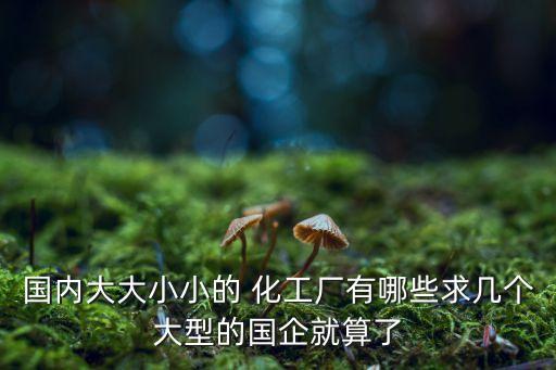 國內大大小小的 化工廠有哪些求幾個大型的國企就算了