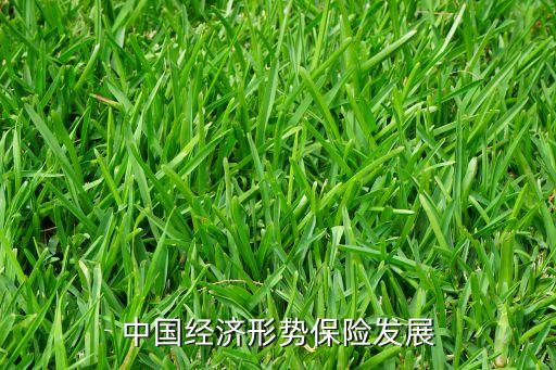 中國(guó)經(jīng)濟(jì)形勢(shì)保險(xiǎn)發(fā)展