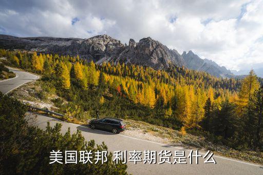  美國(guó)聯(lián)邦 利率期貨是什么
