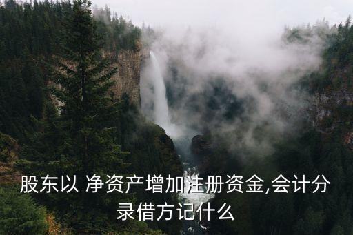 股東以 凈資產(chǎn)增加注冊資金,會計(jì)分錄借方記什么