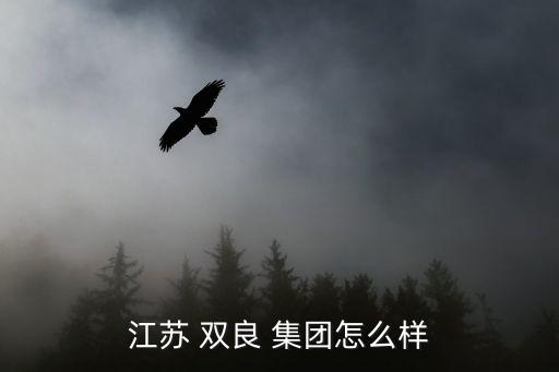 江蘇 雙良 集團怎么樣