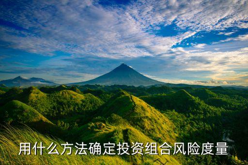 用什么方法確定投資組合風險度量