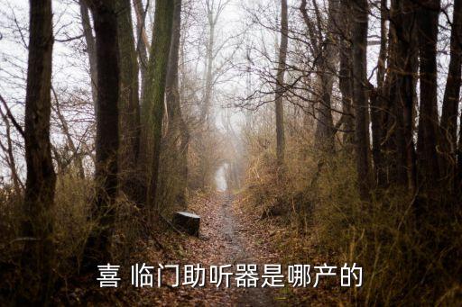 喜 臨門(mén)助聽(tīng)器是哪產(chǎn)的