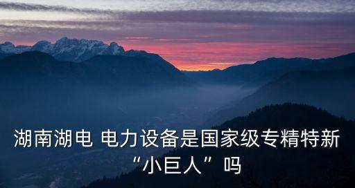湖南湖電 電力設(shè)備是國家級(jí)專精特新“小巨人”嗎