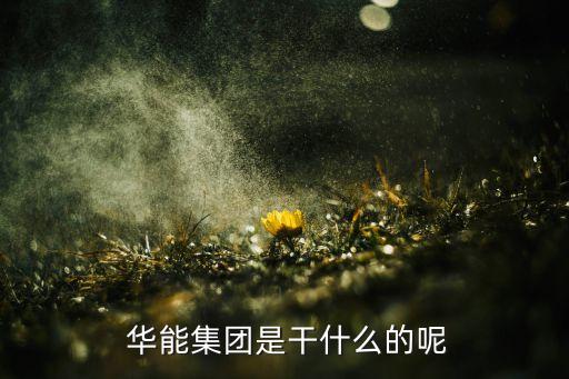  華能集團是干什么的呢