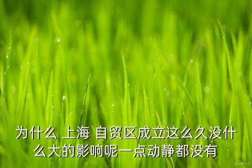 為什么 上海 自貿(mào)區(qū)成立這么久沒什么大的影響呢一點(diǎn)動(dòng)靜都沒有