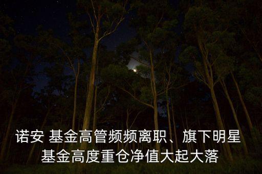 諾安 基金高管頻頻離職、旗下明星 基金高度重倉凈值大起大落