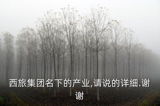 西旅集團名下的產(chǎn)業(yè),請說的詳細(xì).謝謝