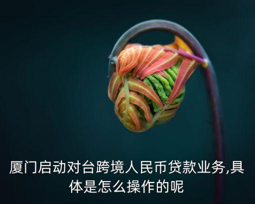 廈門啟動(dòng)對(duì)臺(tái)跨境人民幣貸款業(yè)務(wù),具體是怎么操作的呢