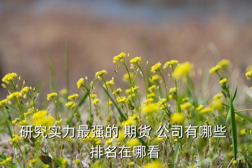研究實力最強(qiáng)的 期貨 公司有哪些 排名在哪看