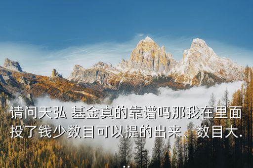 請(qǐng)問天弘 基金真的靠譜嗎那我在里面投了錢少數(shù)目可以提的出來、數(shù)目大...